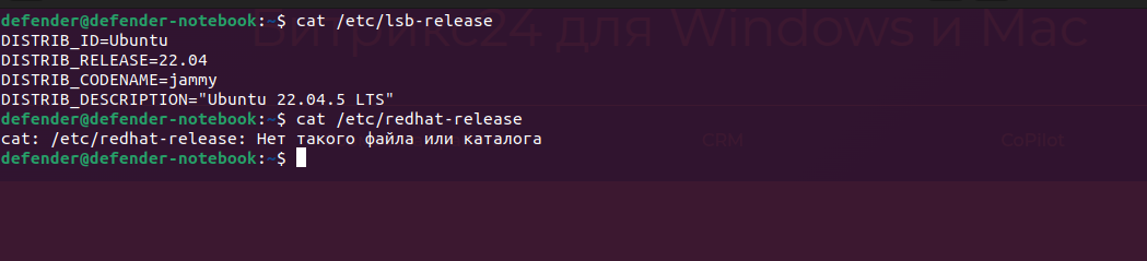 Определение версии Linux в терминале